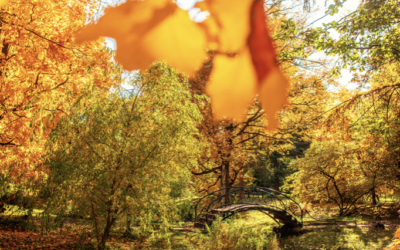 Falling into Change